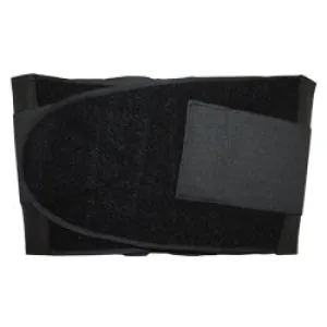 Back Brace, Large (1EA)