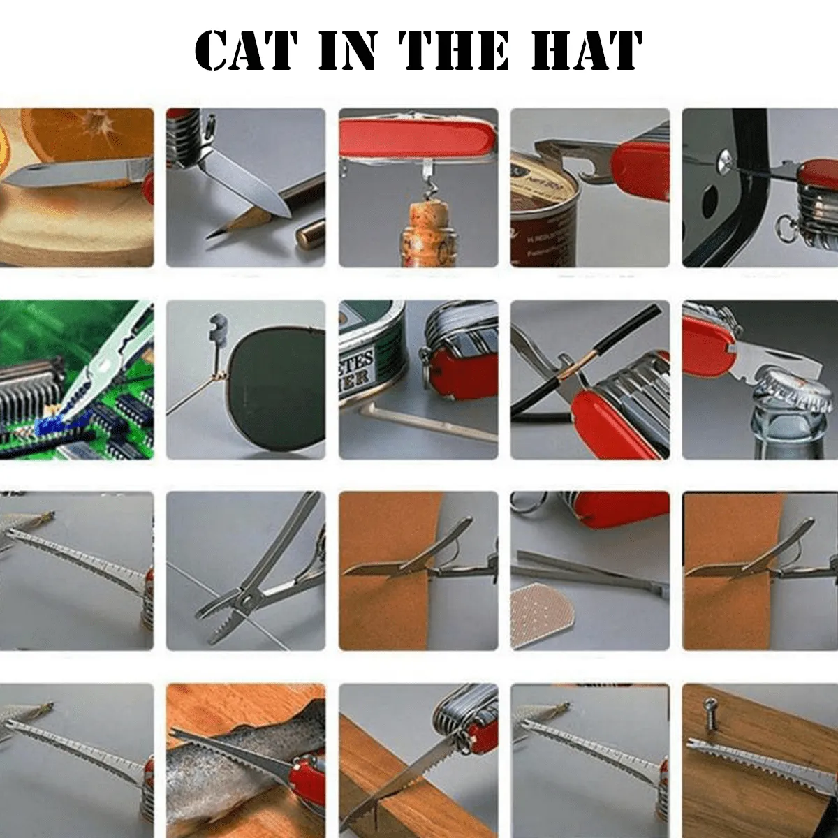Cat In The Hat