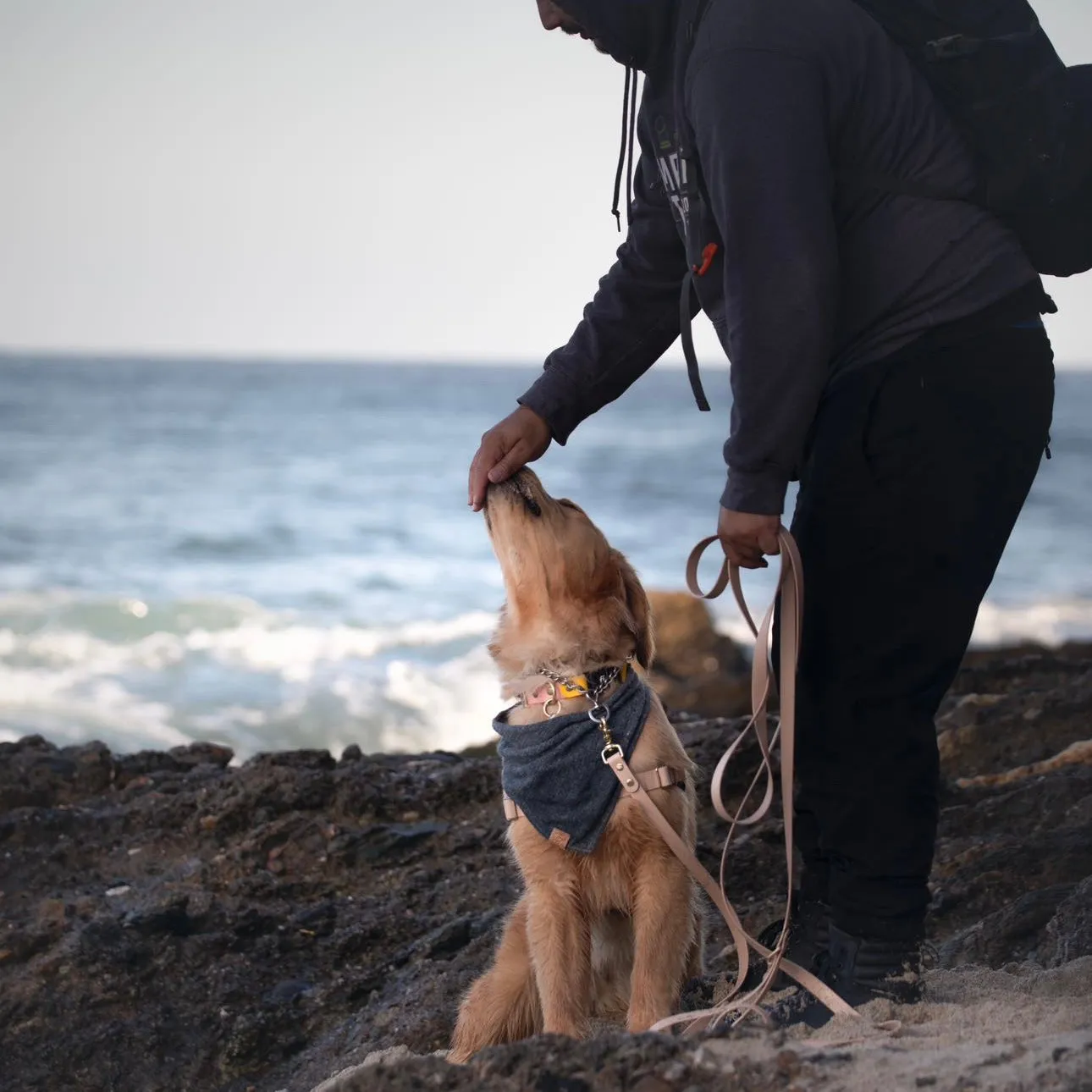 Long Line Waterproof Dog Leash
