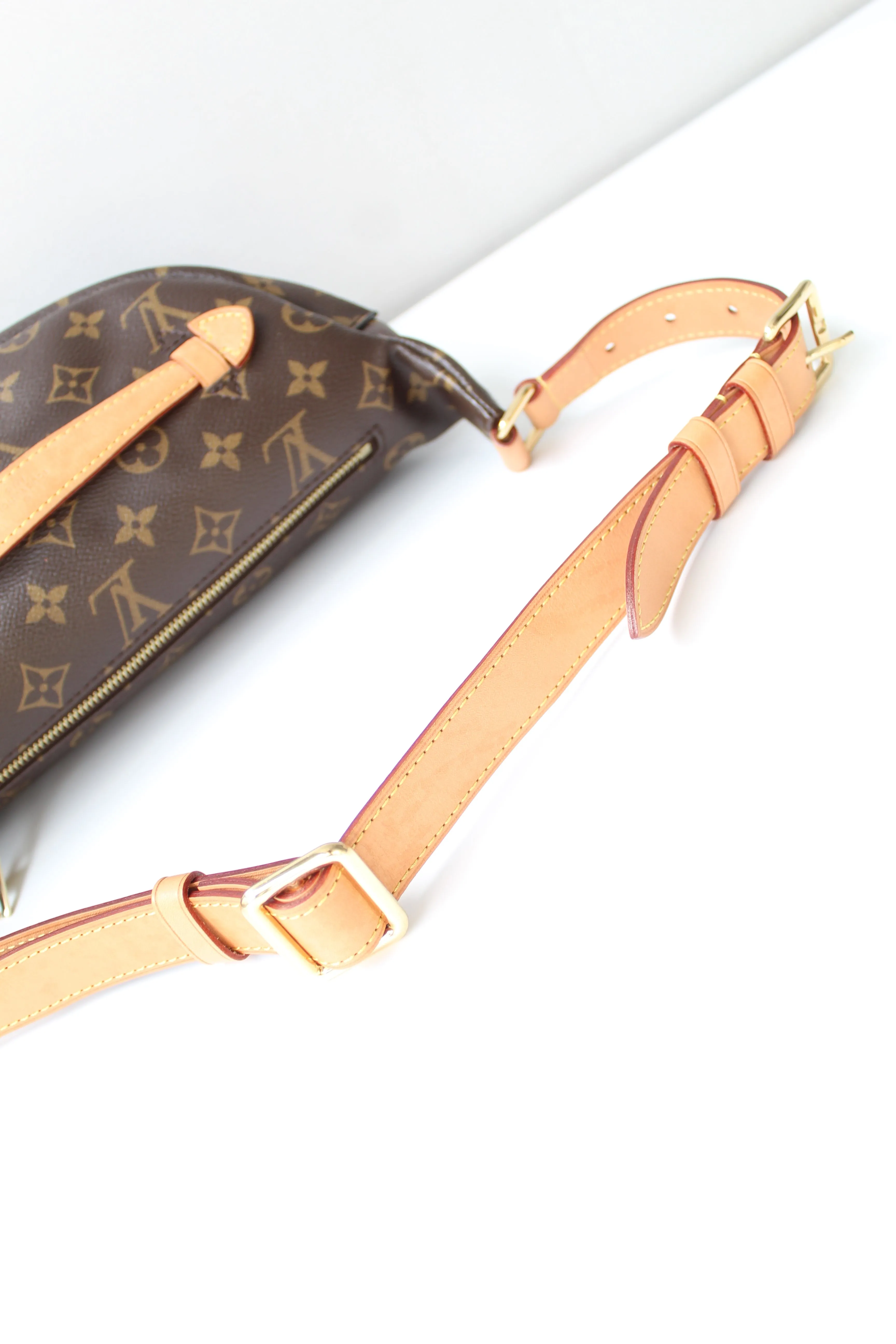 Louis Vuitton Bum Bag