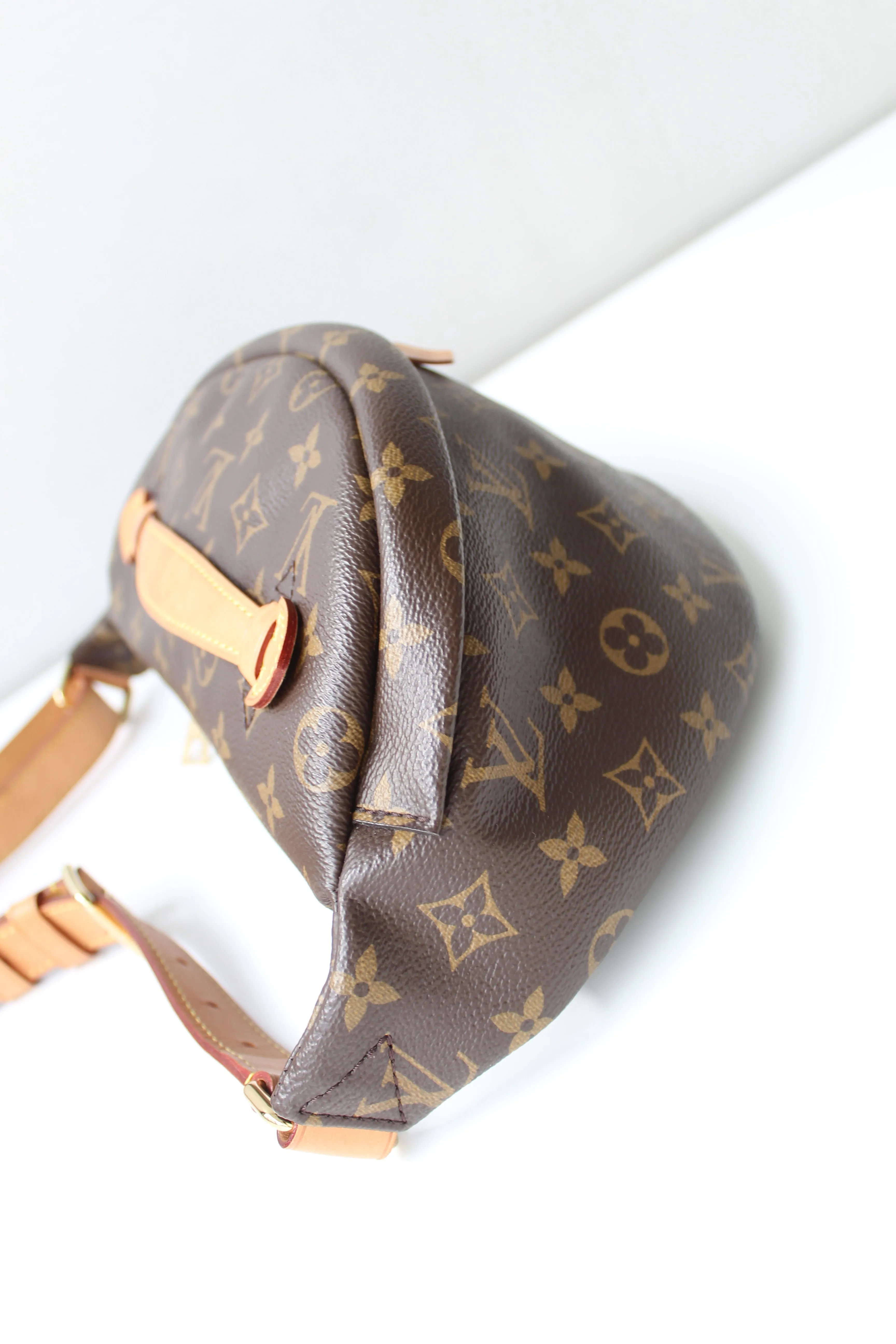 Louis Vuitton Bum Bag