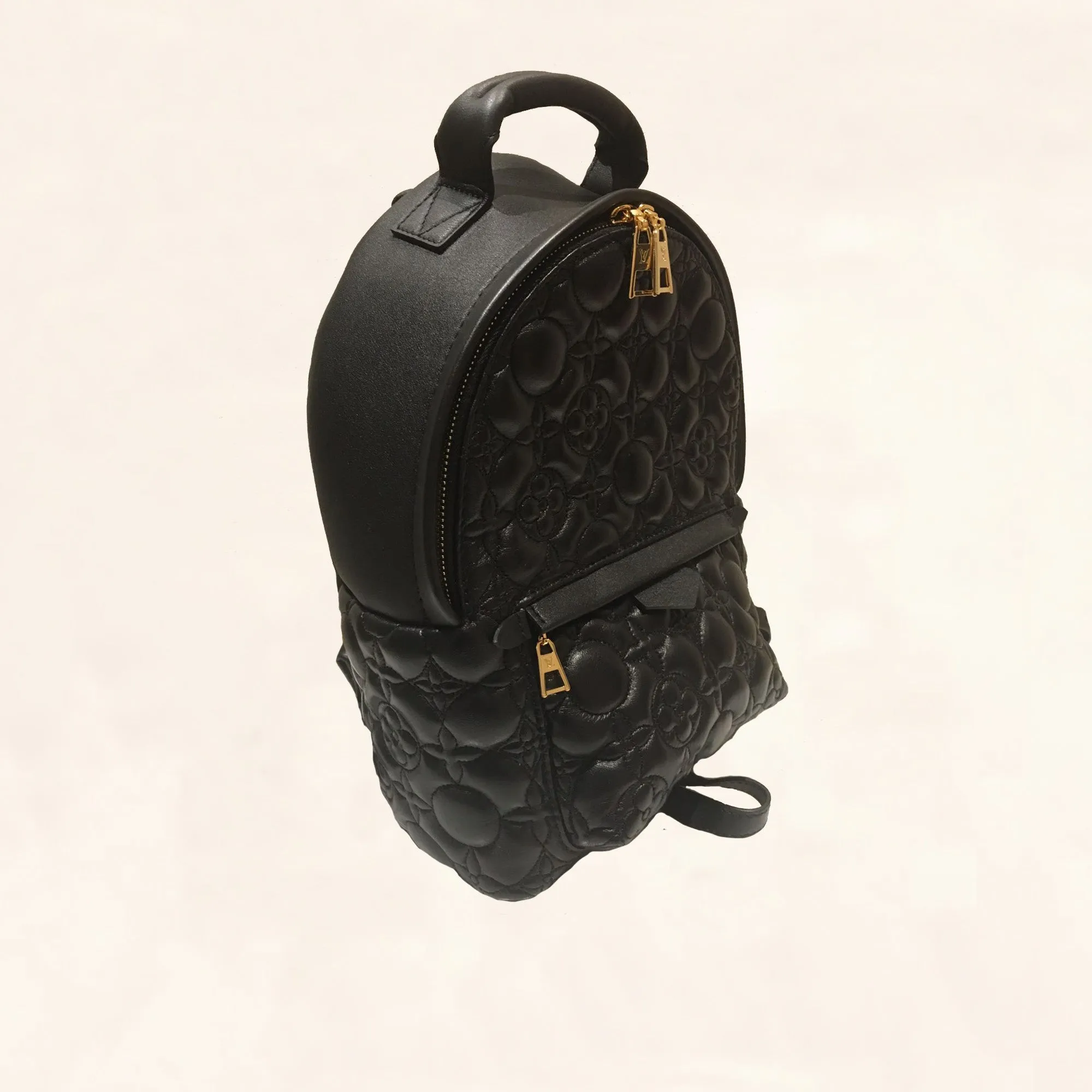 Louis Vuitton | Embroidered Lambskin Palm Springs BackPack | PM