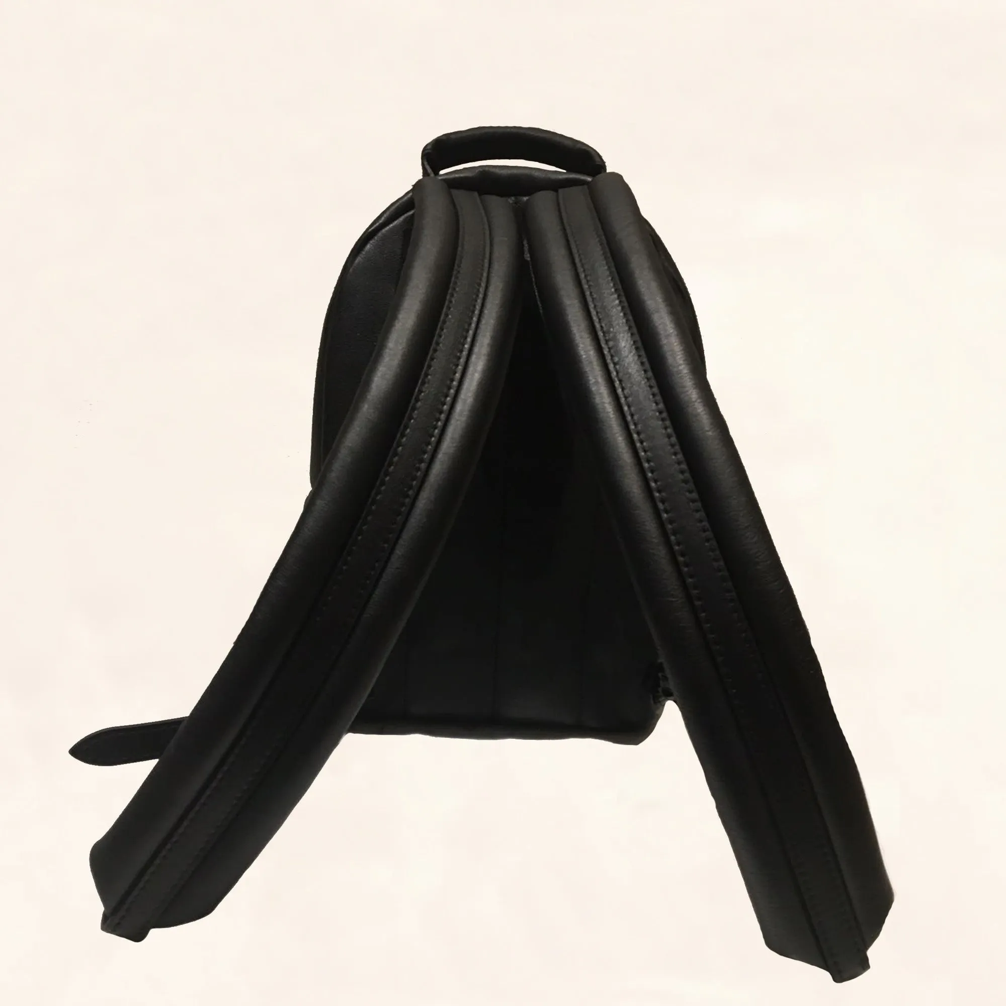 Louis Vuitton | Embroidered Lambskin Palm Springs BackPack | PM