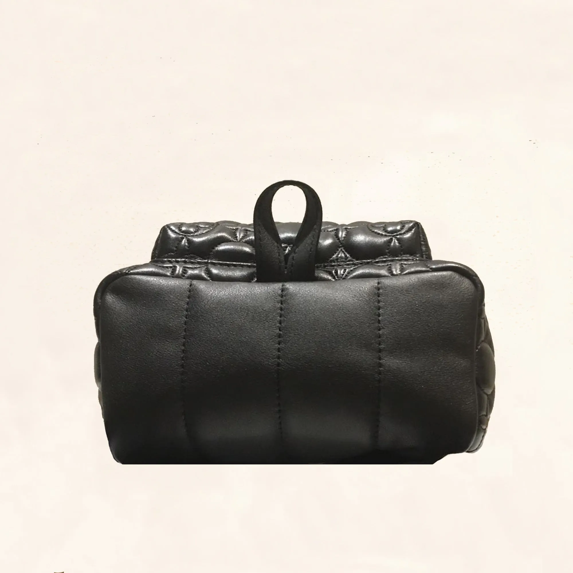 Louis Vuitton | Embroidered Lambskin Palm Springs BackPack | PM