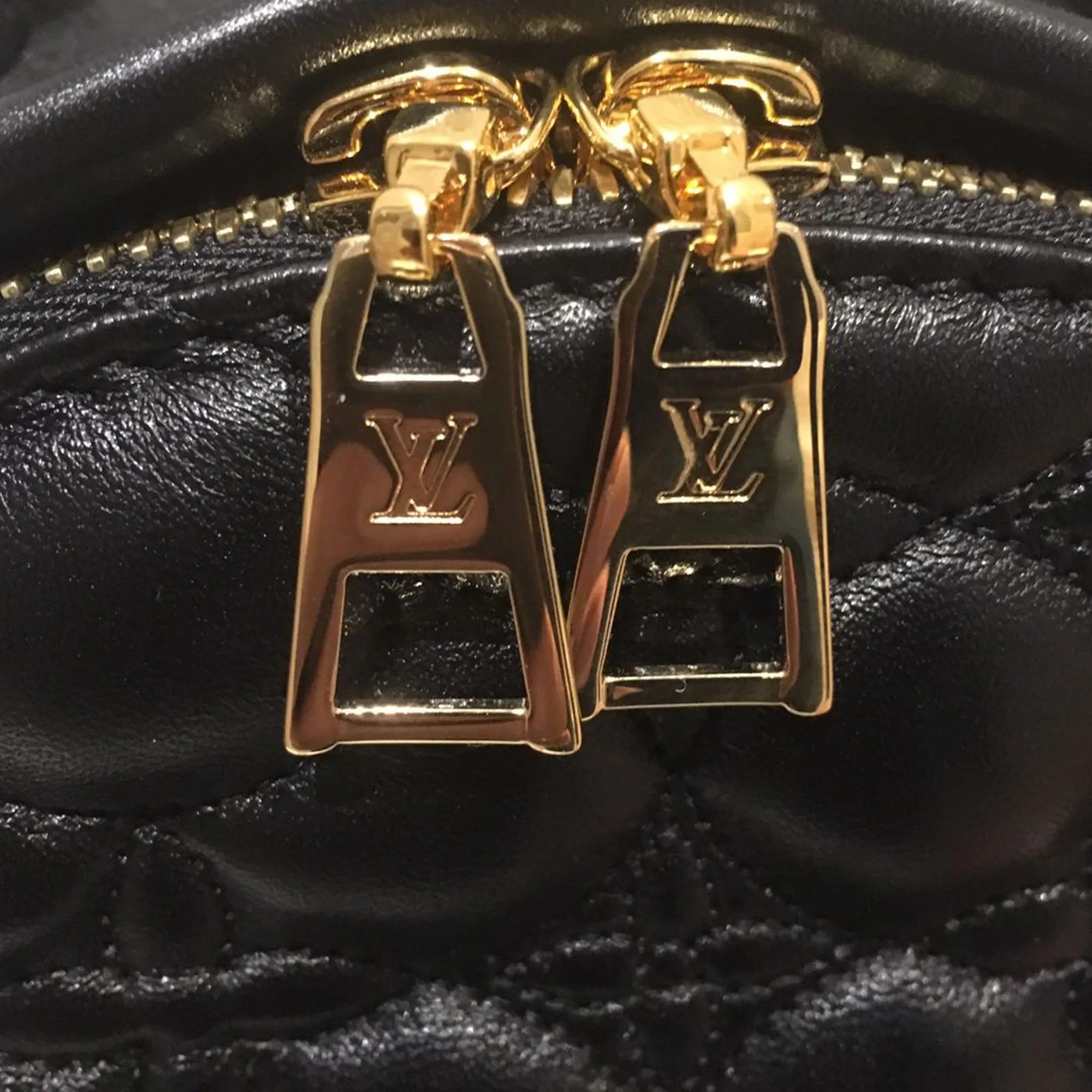 Louis Vuitton | Embroidered Lambskin Palm Springs BackPack | PM