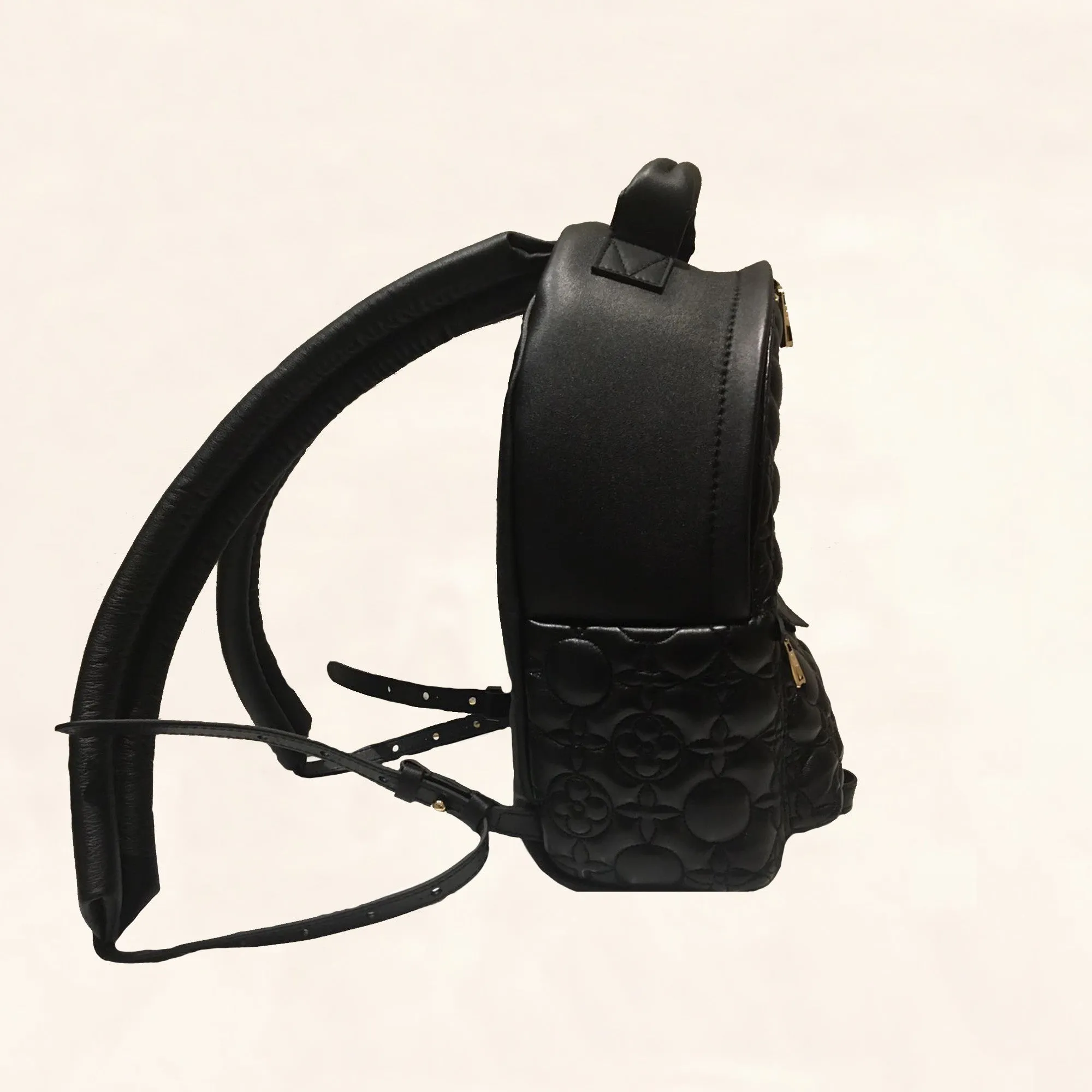 Louis Vuitton | Embroidered Lambskin Palm Springs BackPack | PM