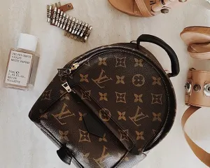 Louis Vuitton | Monogram Palm Springs | Mini