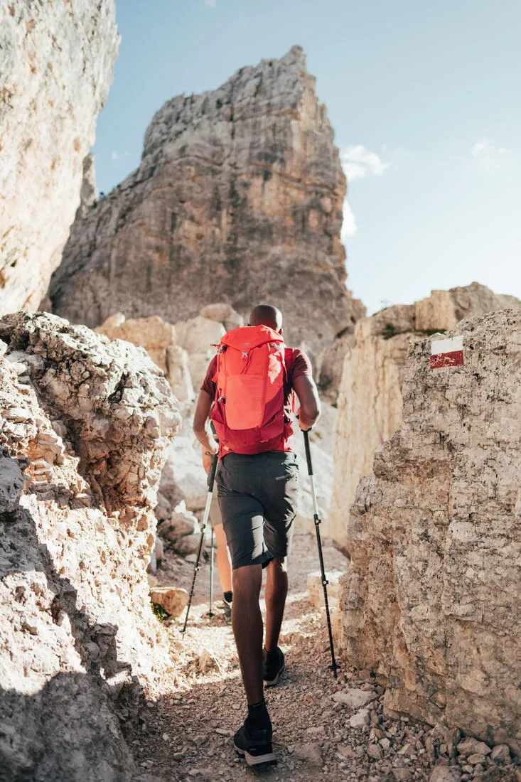 Mountain Walking 20 L Backpack MH500