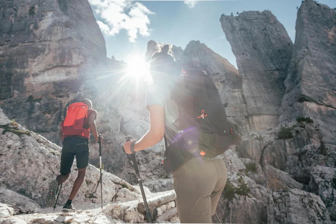 Mountain Walking 20 L Backpack MH500