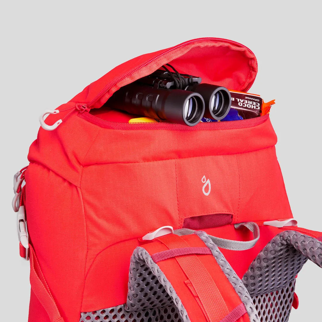 Mountain Walking 20 L Backpack MH500