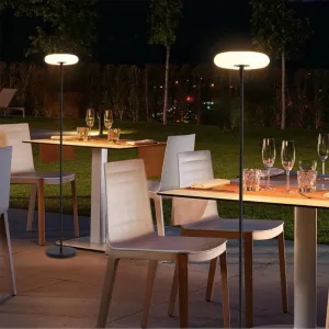 Signature Outdoor Solar Light – Stylish & Energy-Efficient Garden Illumination