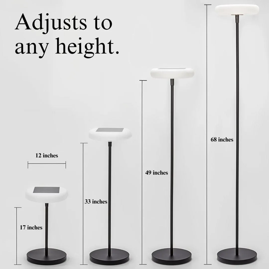 Signature Outdoor Solar Light – Stylish & Energy-Efficient Garden Illumination