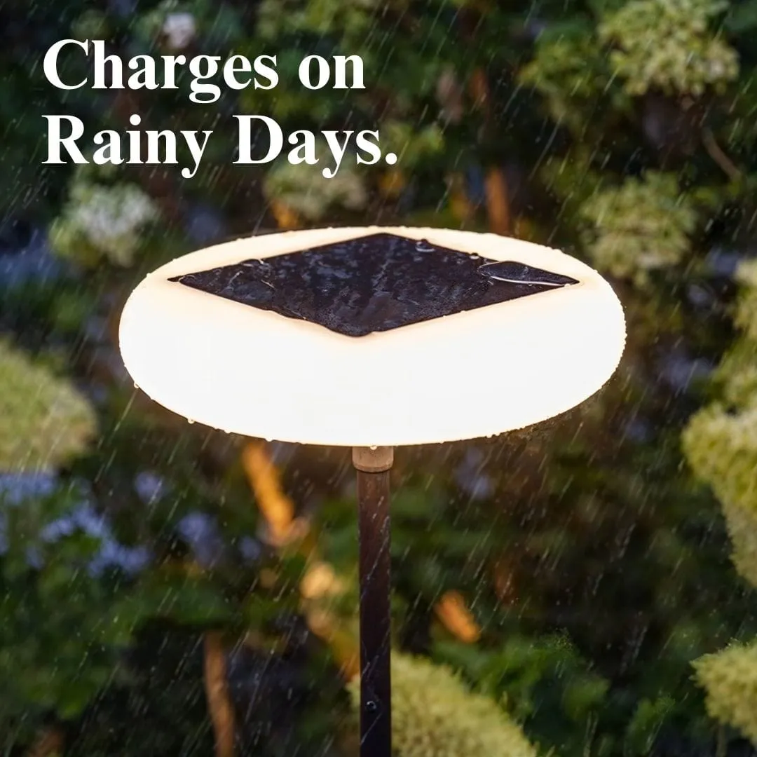 Signature Outdoor Solar Light – Stylish & Energy-Efficient Garden Illumination