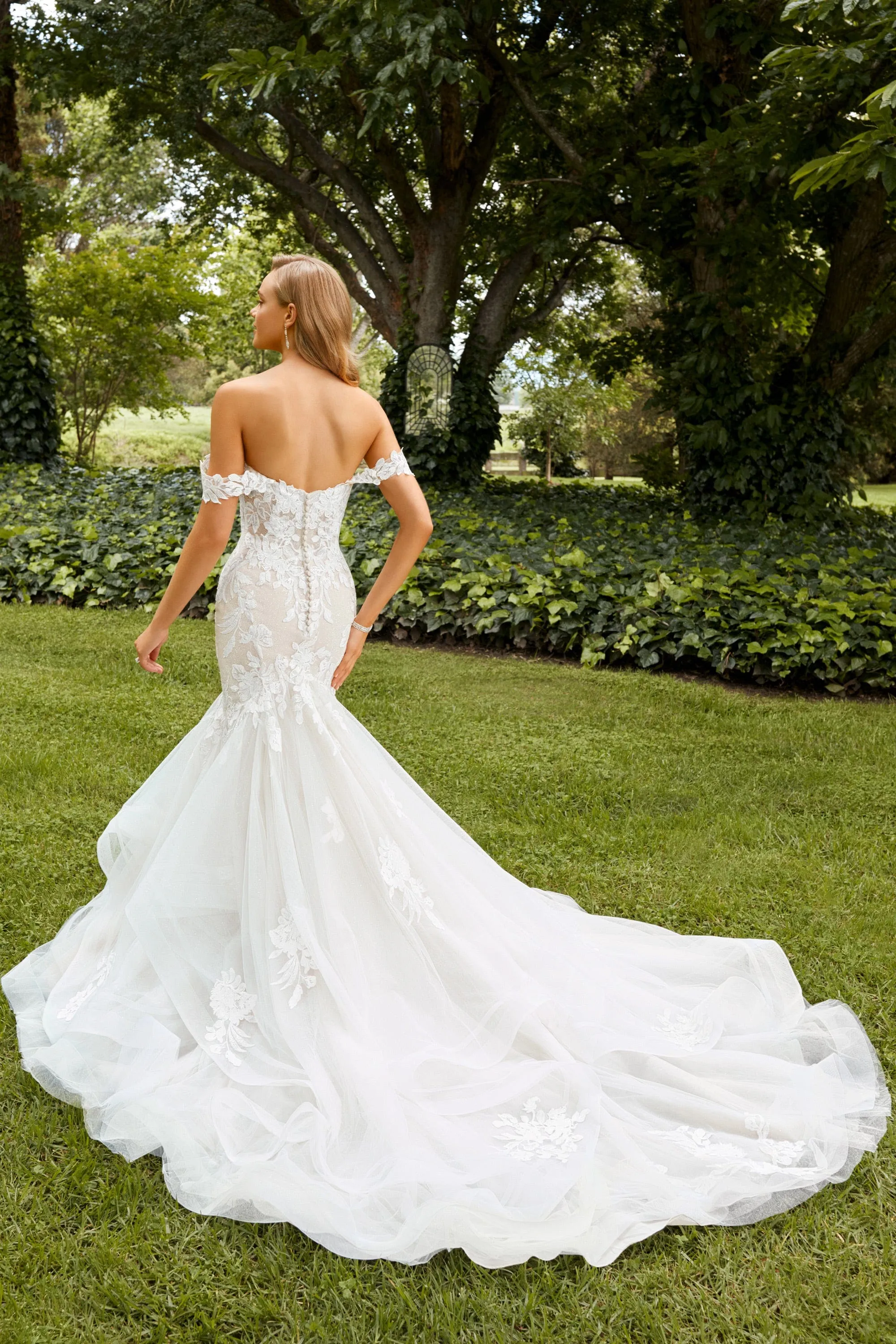 Sophia Tolli: Y22262 - Indiana